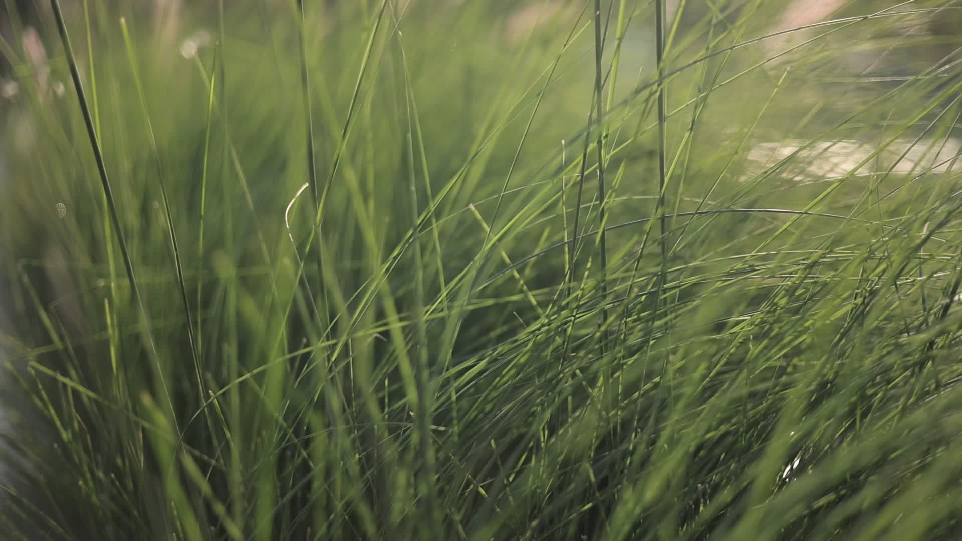 Video by Ds babariya