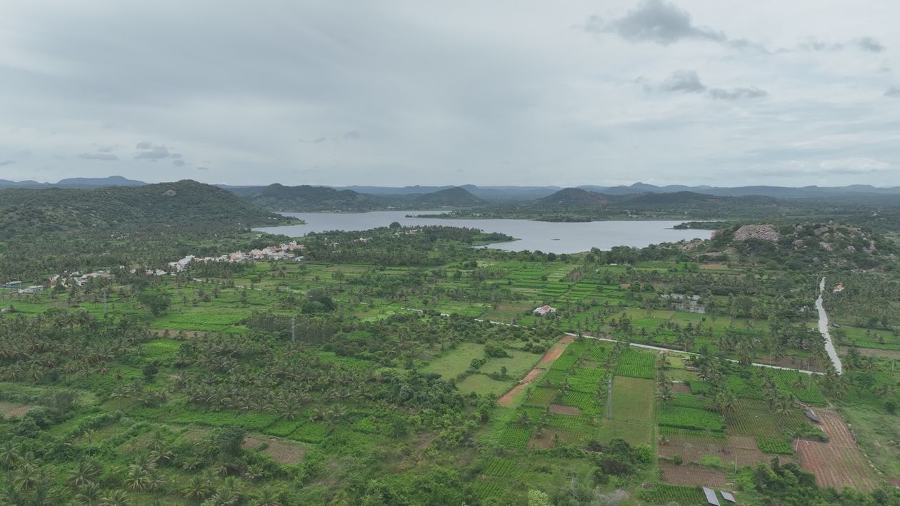 Landscape View Video Stunning Aerial View of Lush Green Landscapes Free Stock Video Footage ...