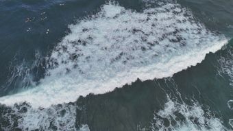 海免费下载视频素材