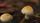 mushrooms