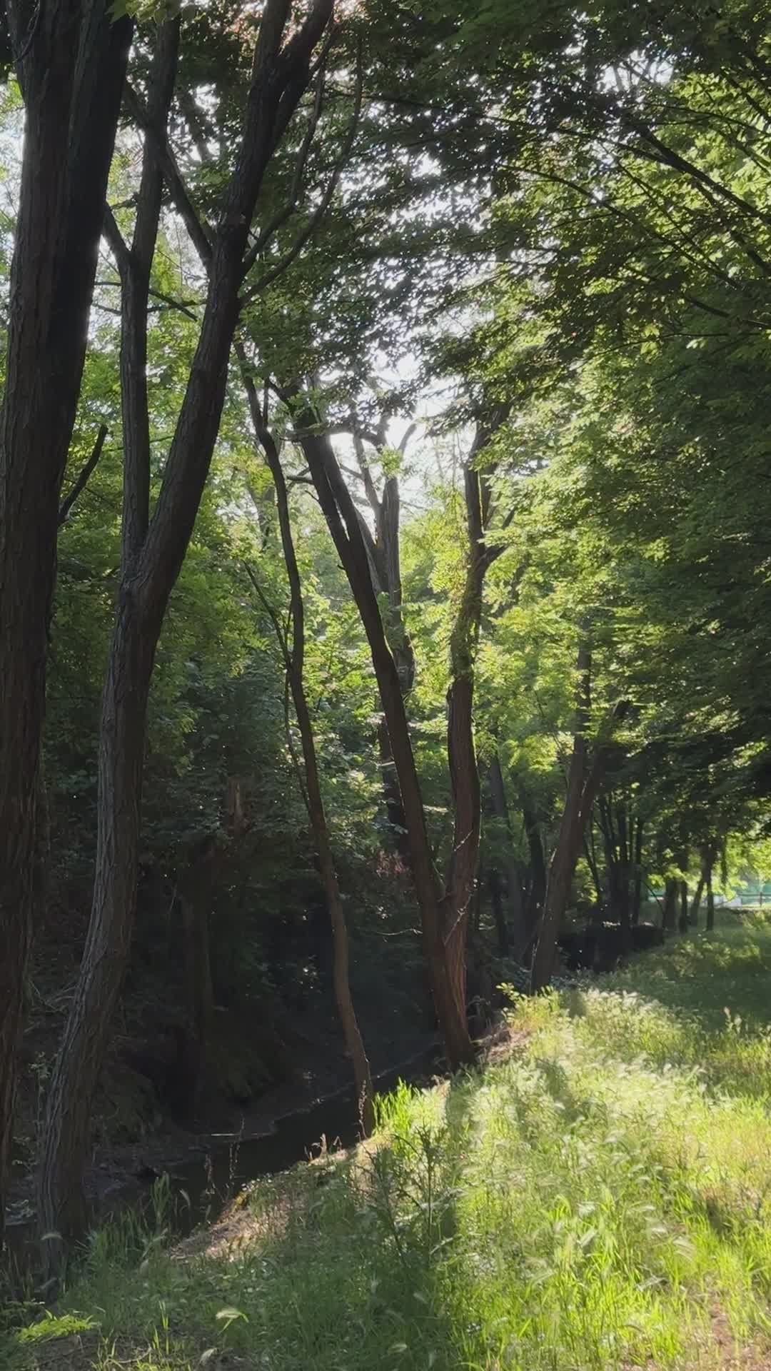 Video by Earth Photart