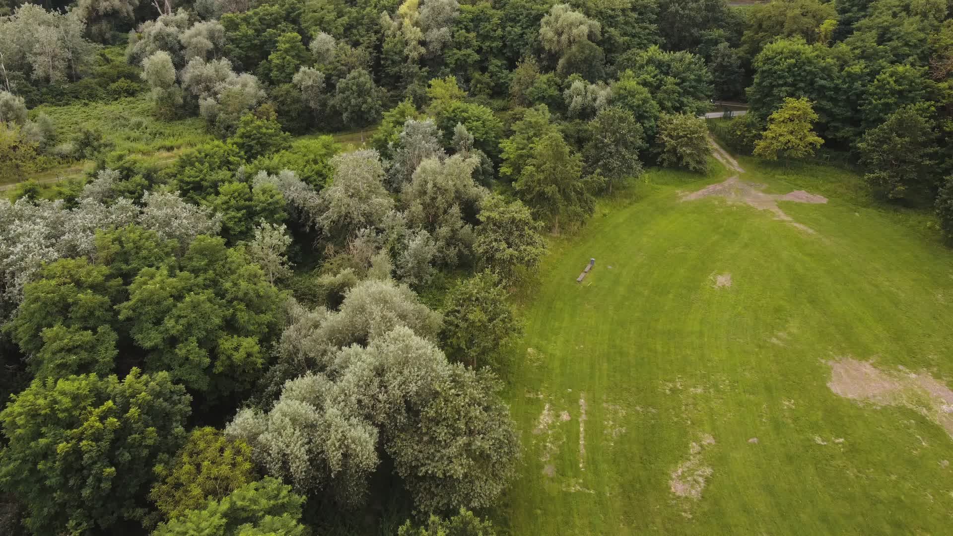 Aerial View of Lush Green Forest Landscape Free Stock Video Footage ...