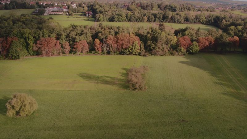 Scenic Aerial View of Autumn Forest Sunrise Free Stock Video Footage ...