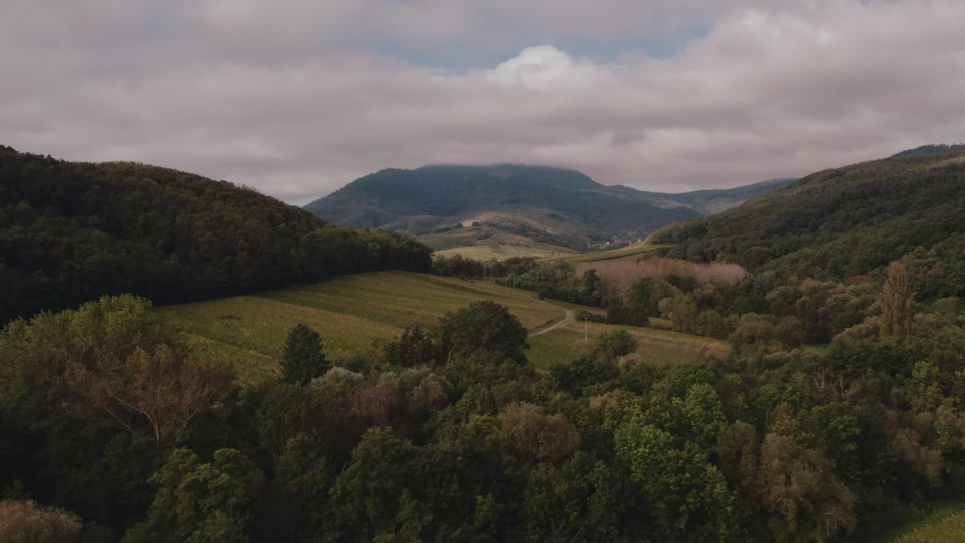 Serene Aerial View of Lush Green Valley Free Stock Video Footage ...