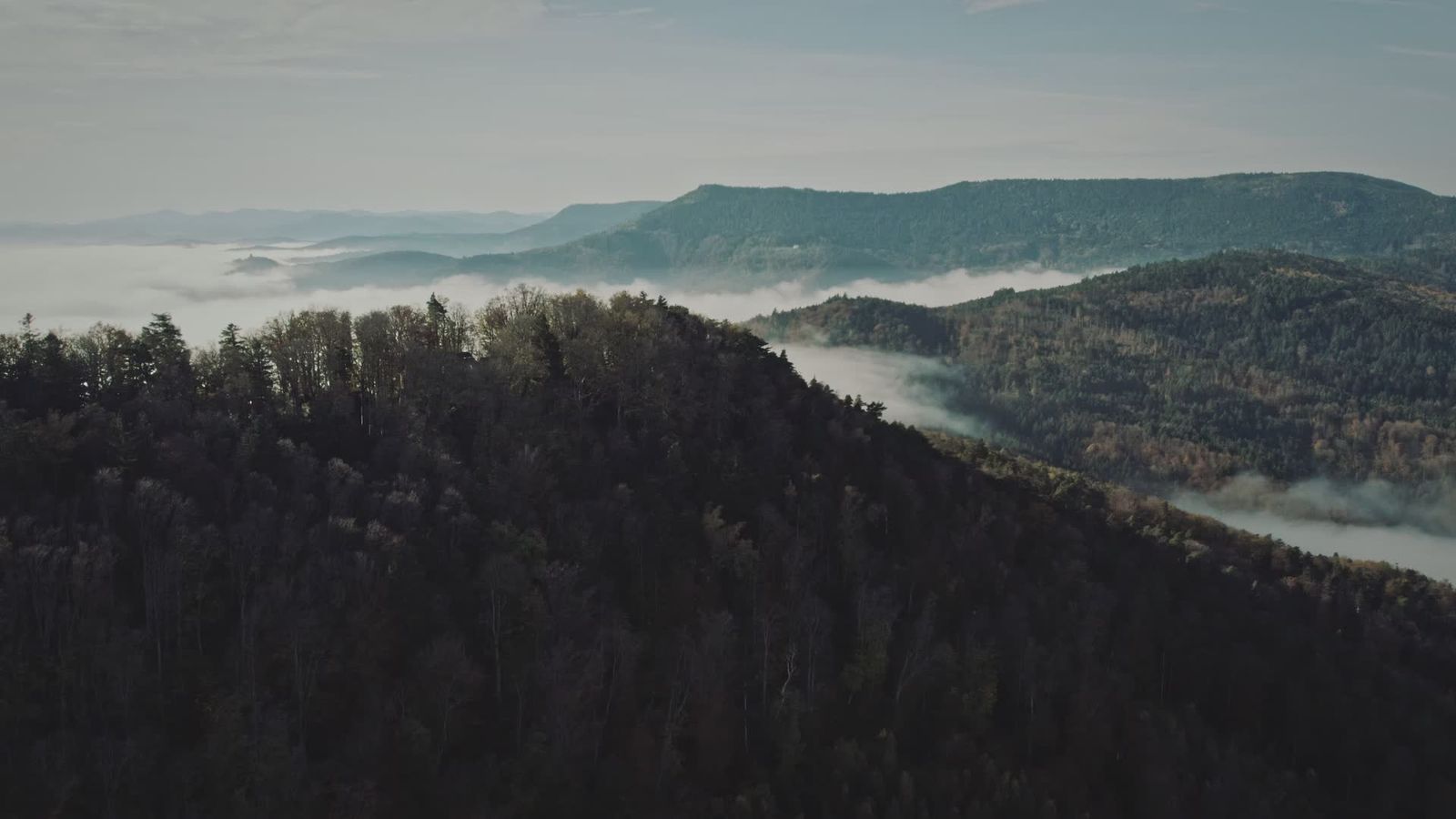 Aerial View of Misty Autumn Forest Landscape Free Stock Video Footage ...