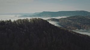 Aerial View of Misty Forest in Autumn Free Stock Video Footage, Royalty ...