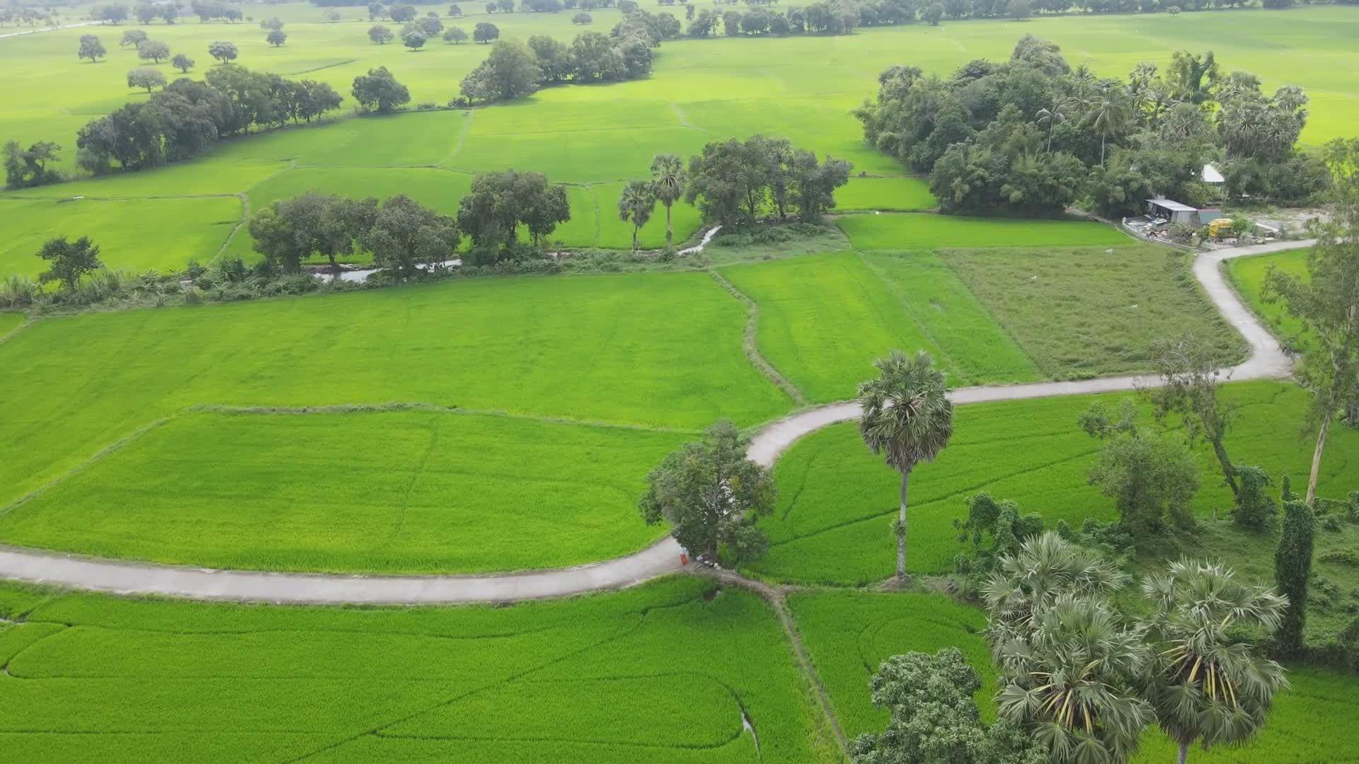 Scenic Aerial View of Lush Green Farmland Free Stock Video Footage ...