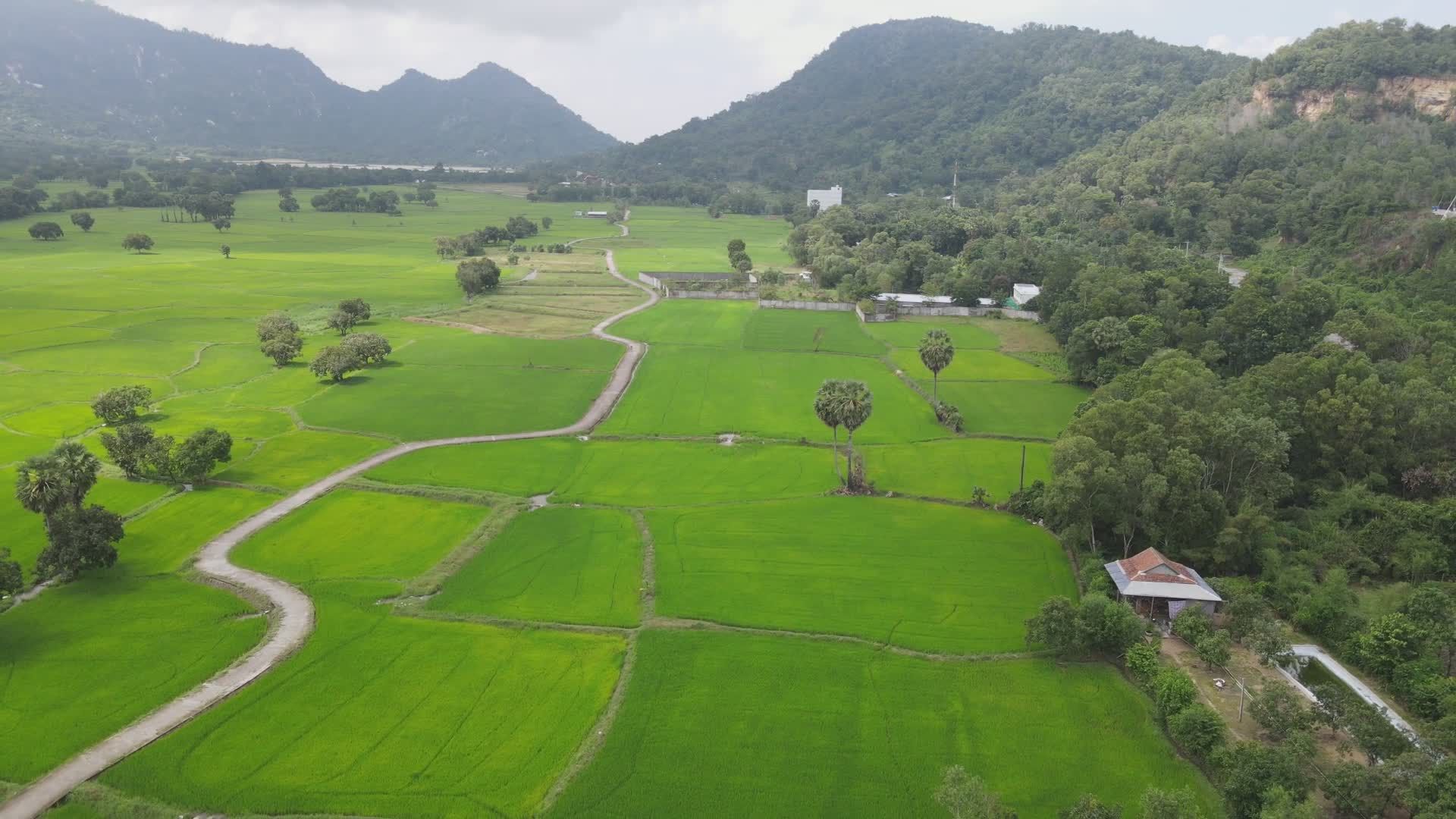 Aerial View of Lush Green Rice Fields in Mountainous Valley Free Stock ...