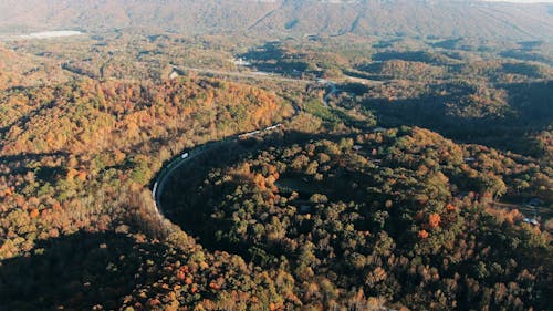 Вид с воздуха на поезд, едущий рядом с деревьями и горами
