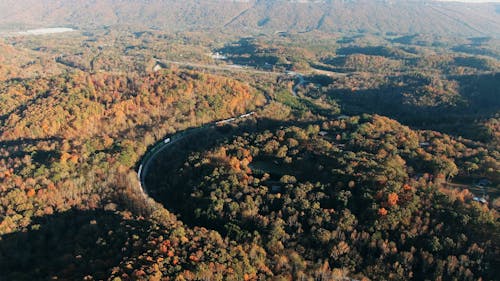 Aerial View Of A Train Traveling Beside Trees And Mountain