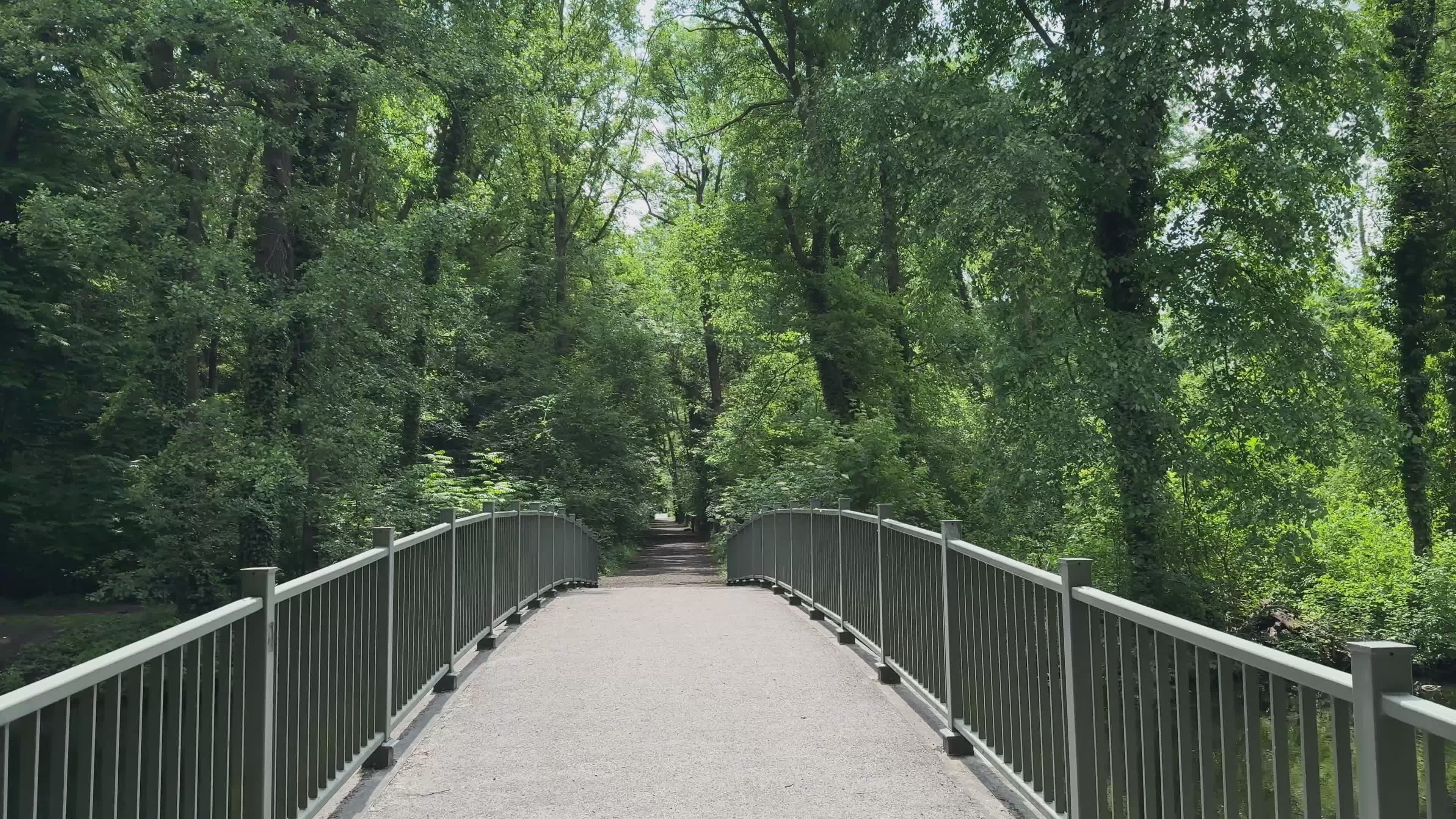 Scenic Bridge in Lush Green Spring Forest Free Stock Video Footage ...