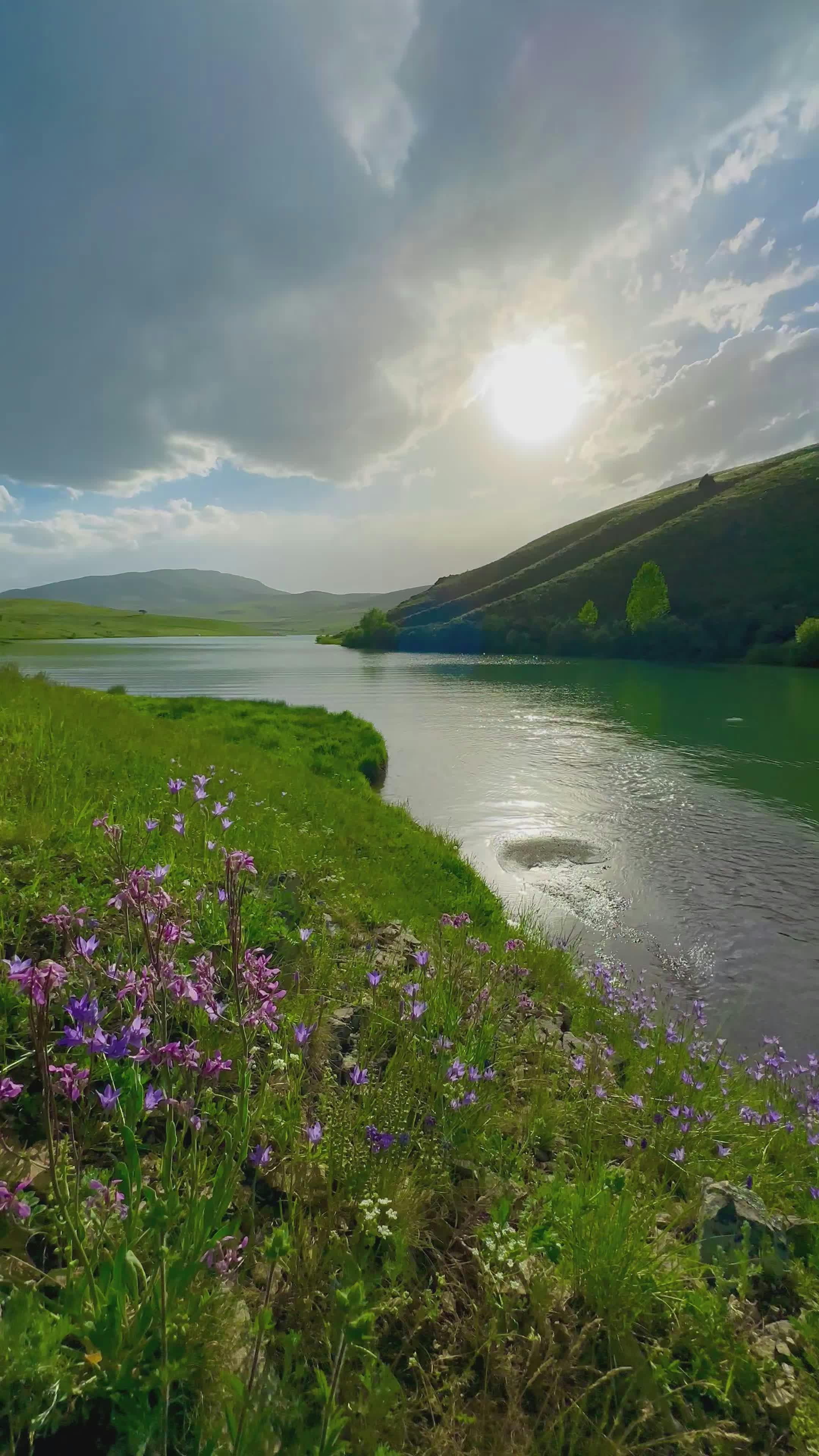 Black+Pono Videos, Download The BEST Free 4k Stock Video Footage