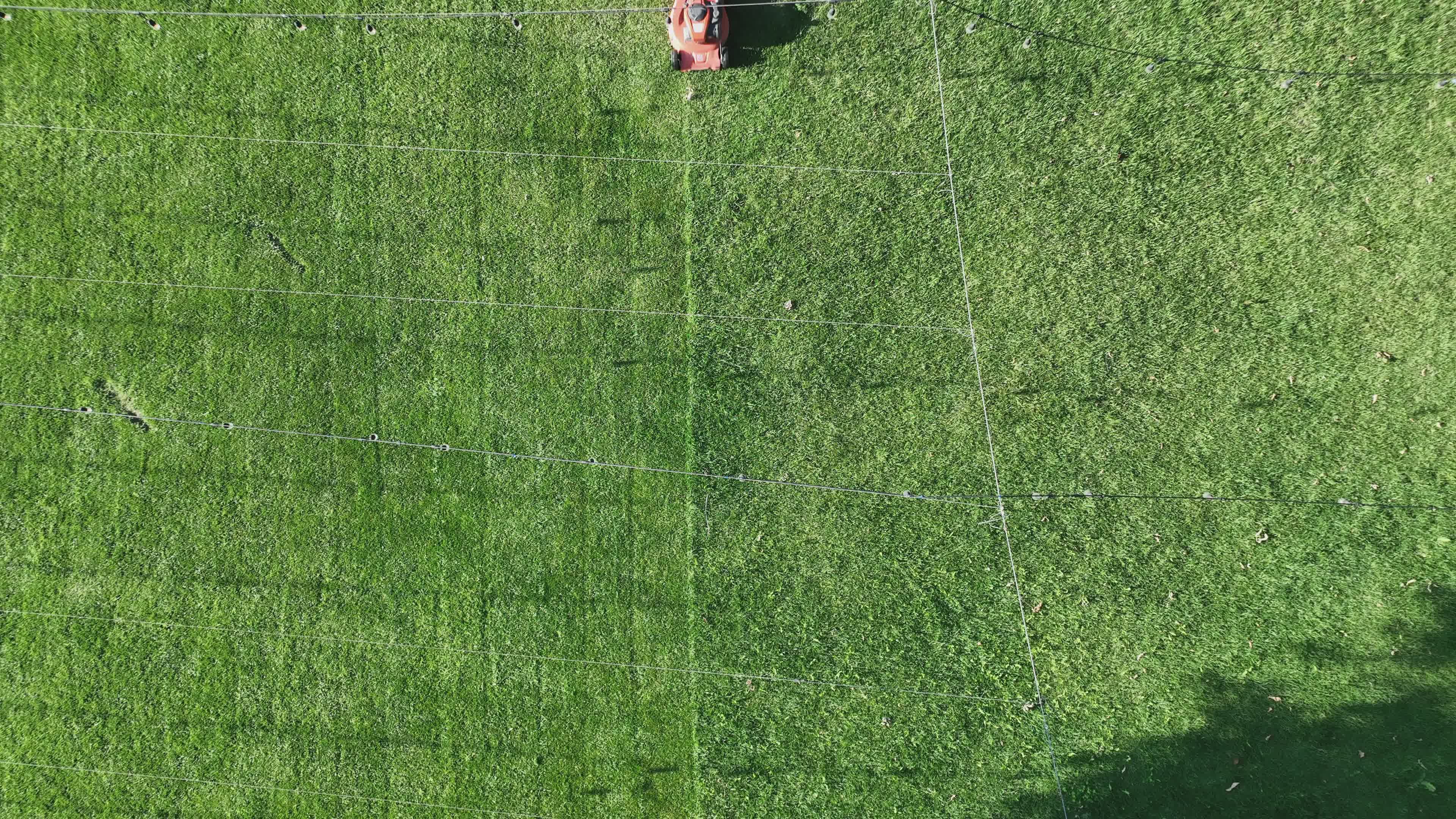 Lawn Mowing Service video