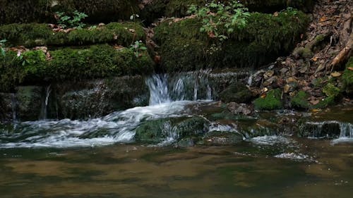 View Of A River With Mossy Rocks