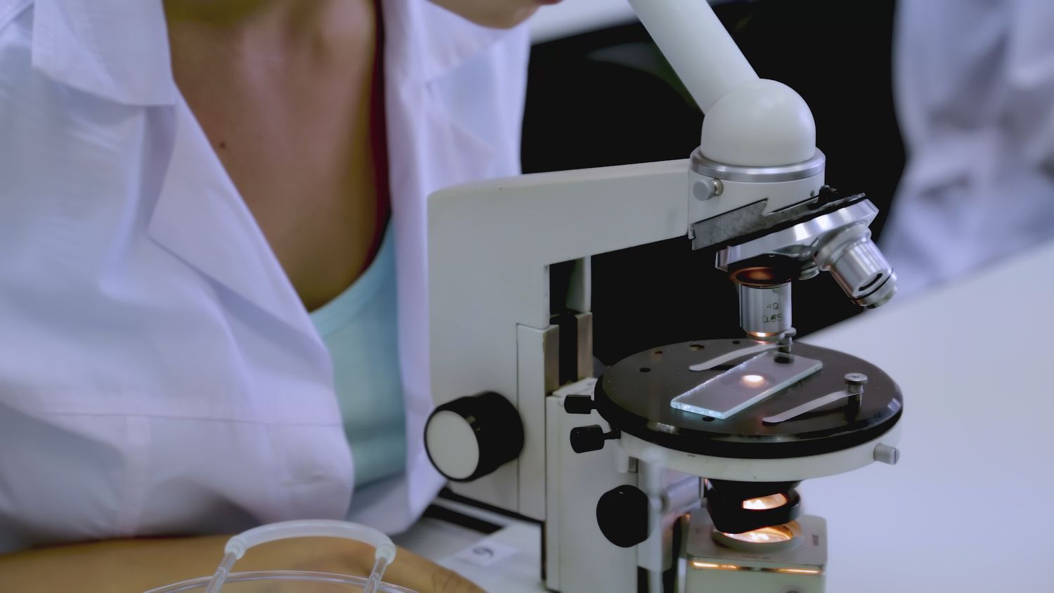 Science Videos, Download The BEST Free 4k Stock Video Footage & Science ...
