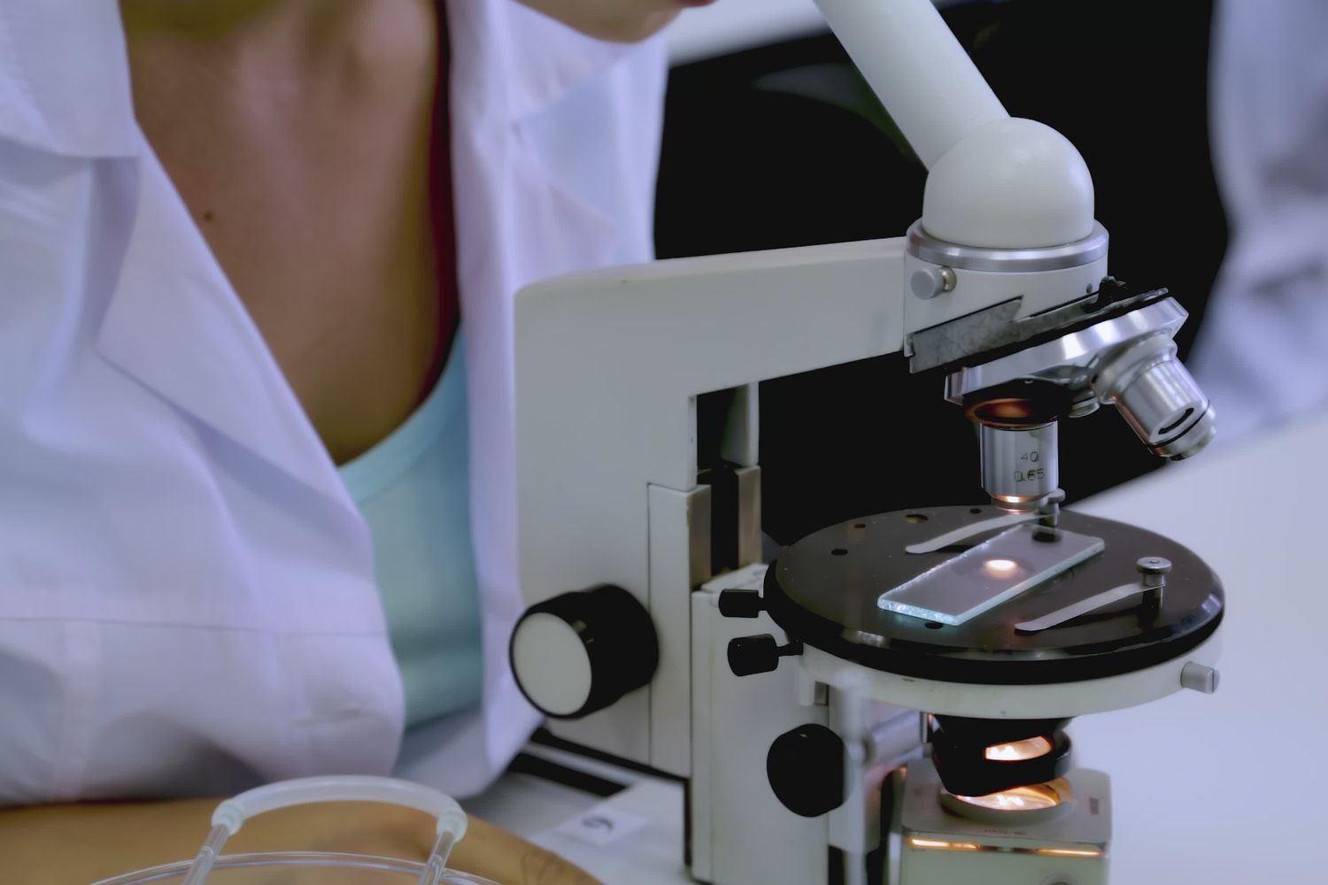 Science Video Clips Science Videos, Download The BEST Free 4k Stock Video Footage & Science ...