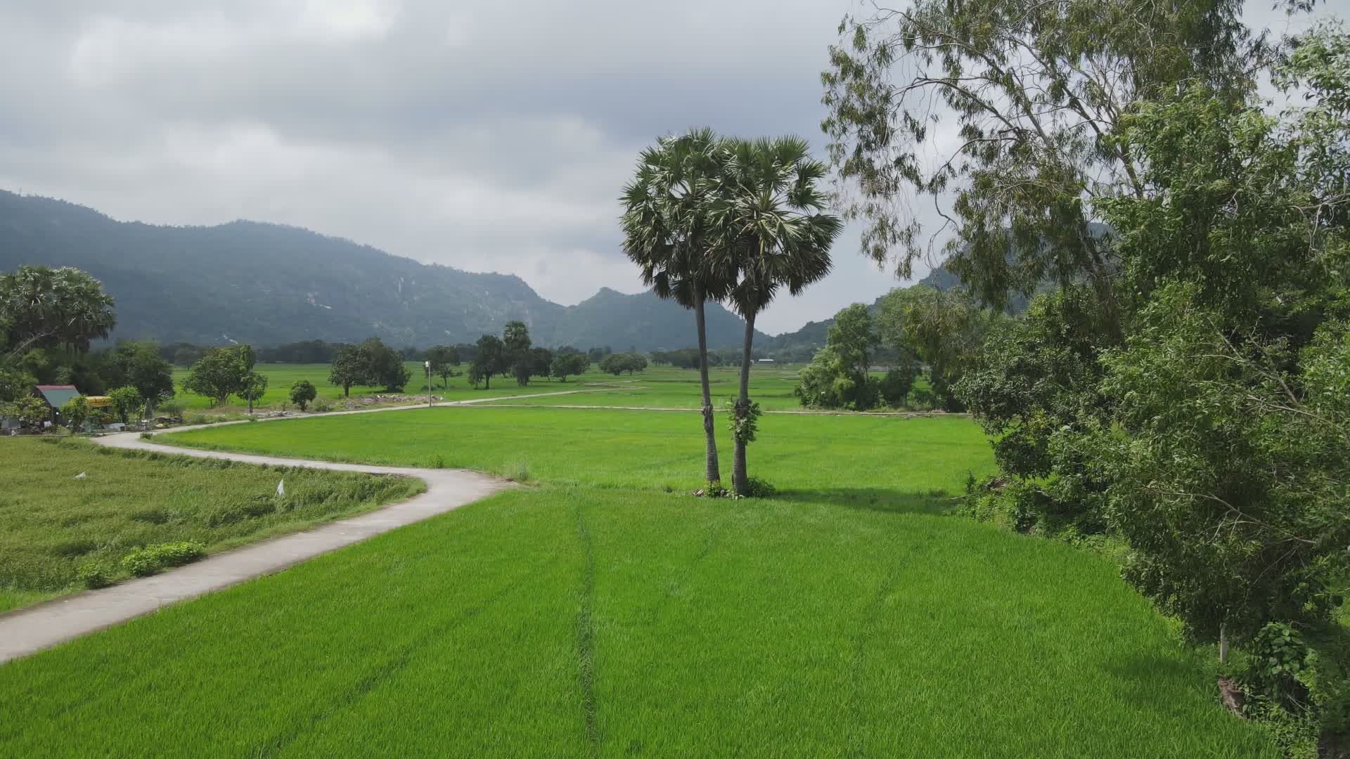 Scenic Aerial View of Lush Green Farmland Free Stock Video Footage ...