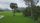 rice fields