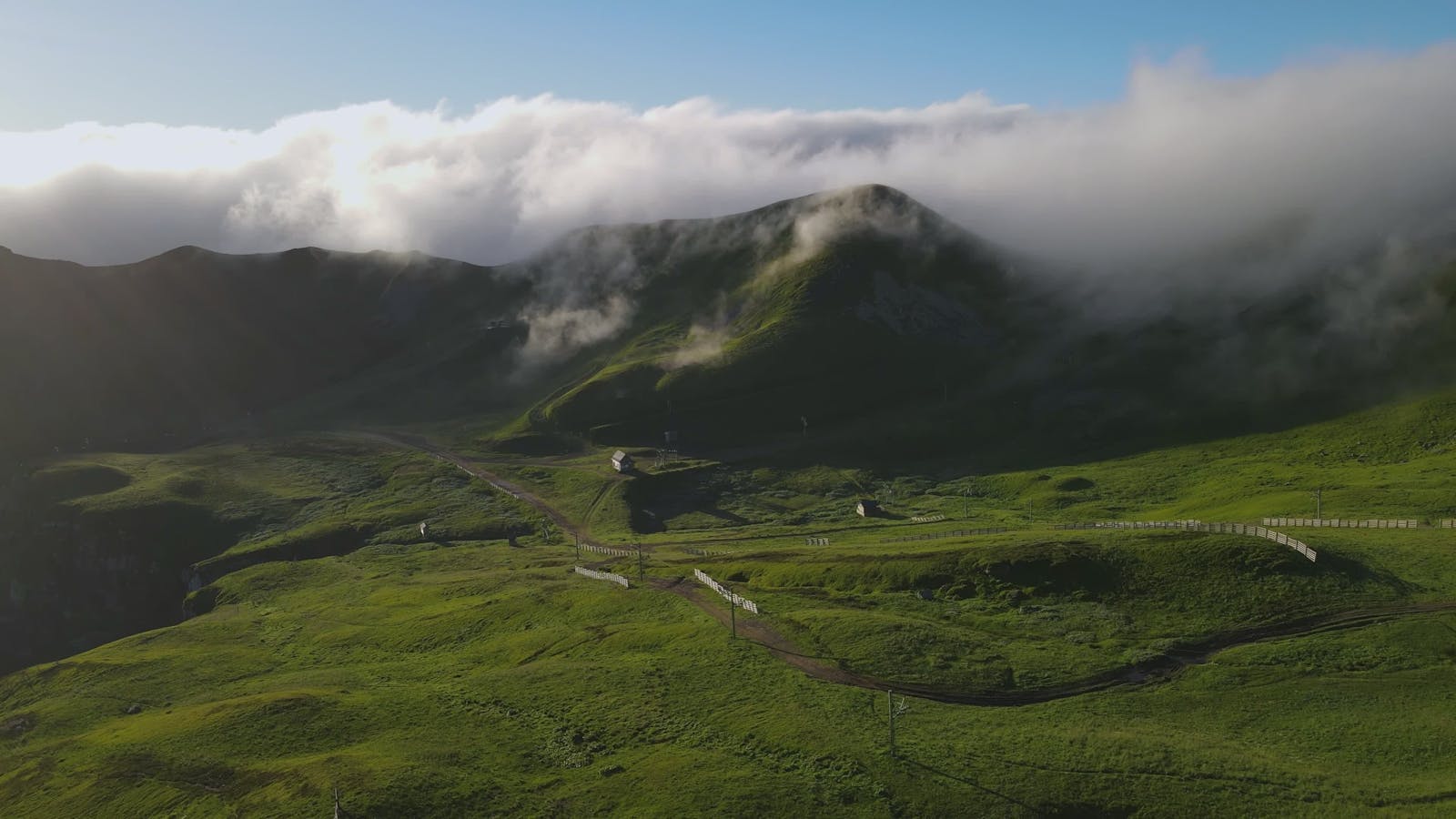 Fry99+Videos Videos, Download The BEST Free 4k Stock Video Footage