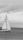 sailing boat