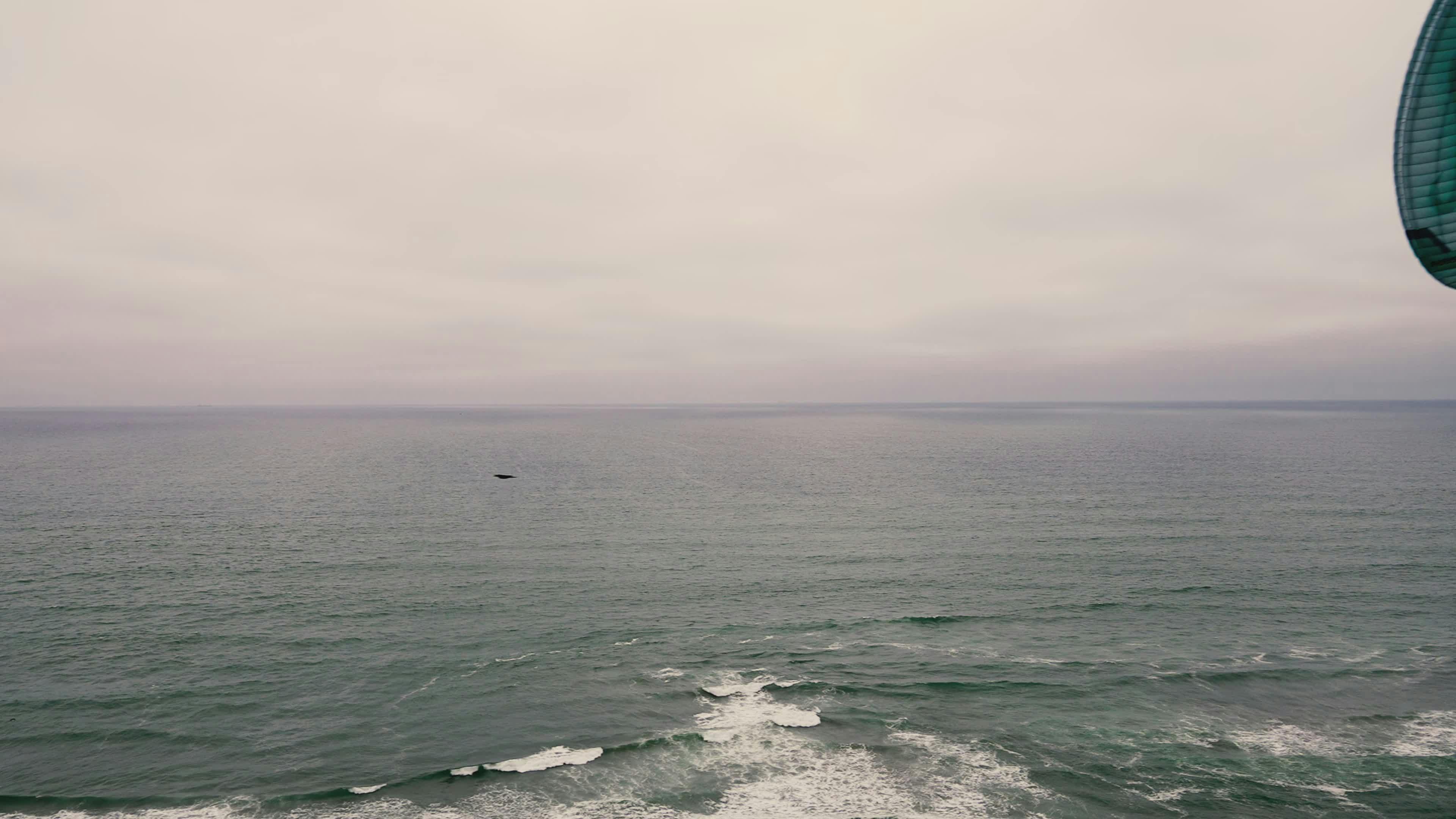 Creamy+Ebony+Solo Videos, Download The BEST Free 4k Stock Video Footage