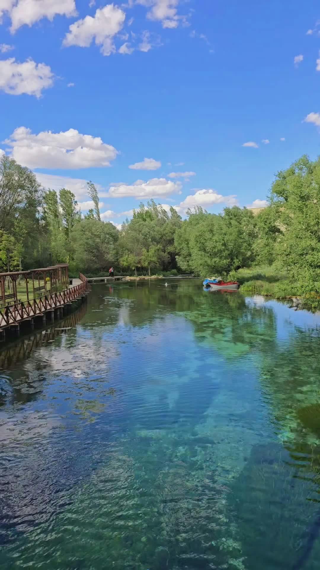 Video by Hanifi Sarıkaya