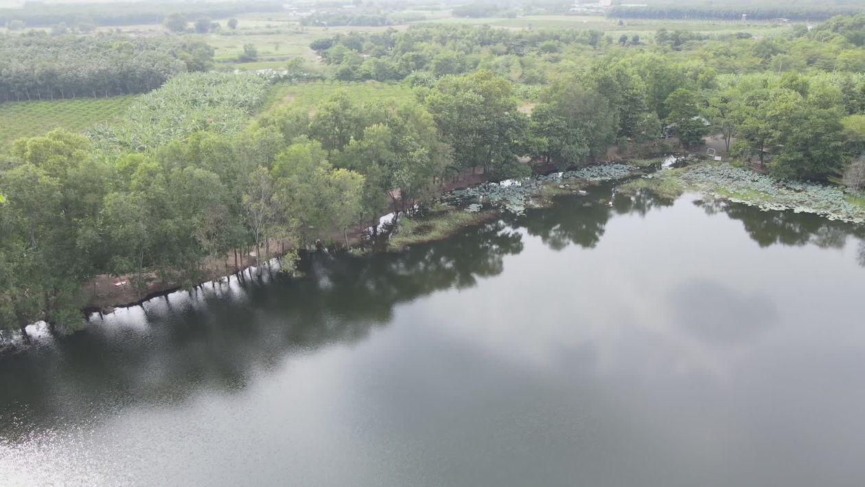 Serene Aerial View of Lush Green Lake Area Free Stock Video Footage ...
