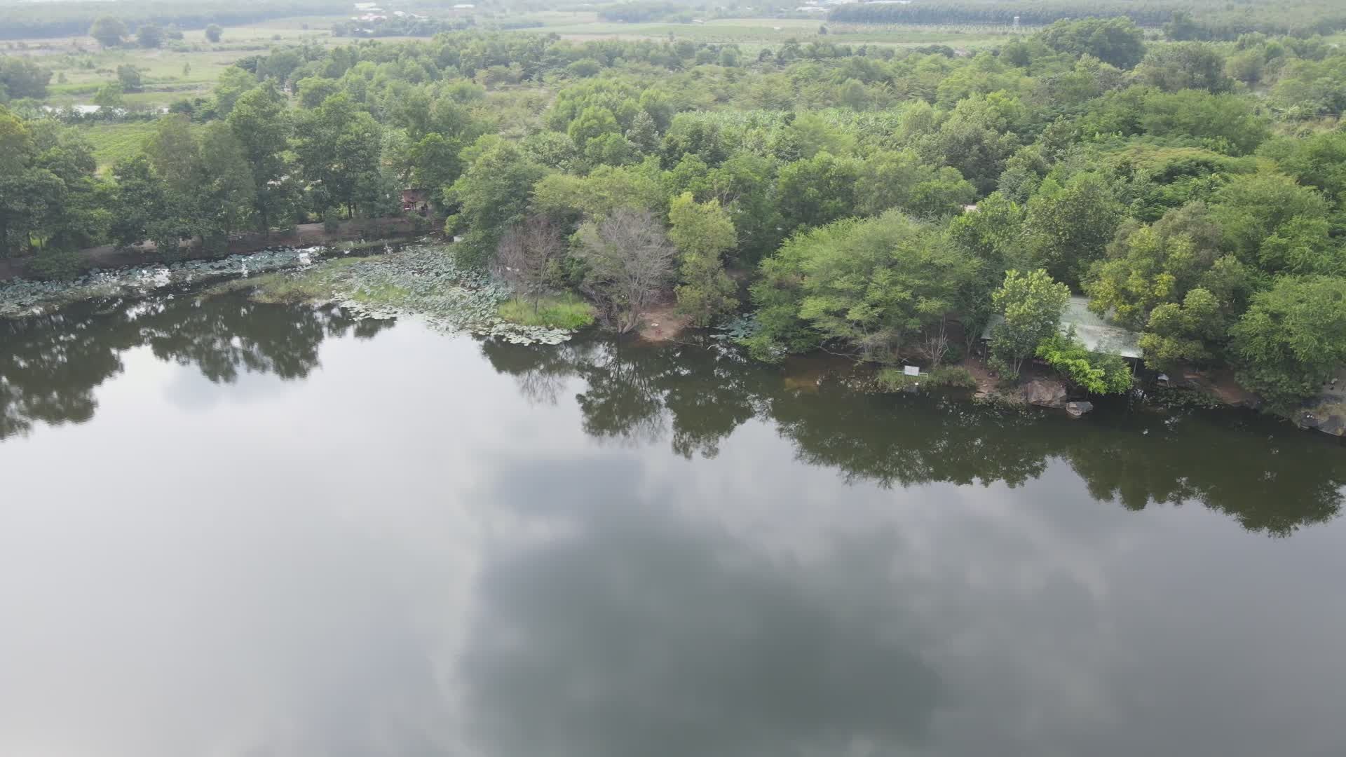 Serene Aerial View of Lush Green Lakeside Free Stock Video Footage ...