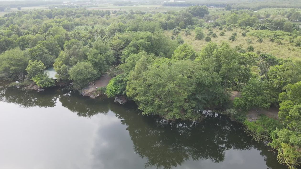 Tranquil Aerial View of Lush Green Forest by River Free Stock Video ...