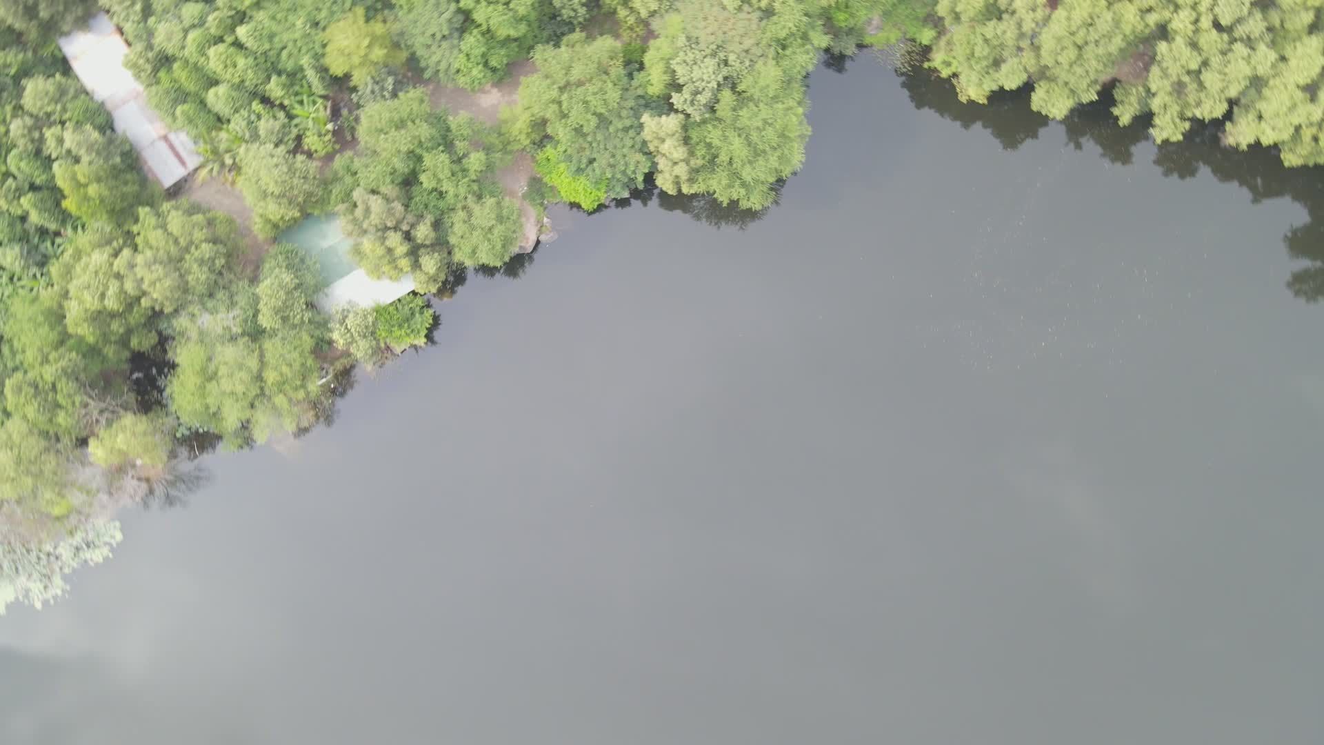 Serene Aerial View of Forest and Lake Free Stock Video Footage, Royalty ...
