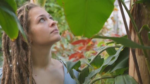 A Woman Touching The Smooth Surface Of The Leaves