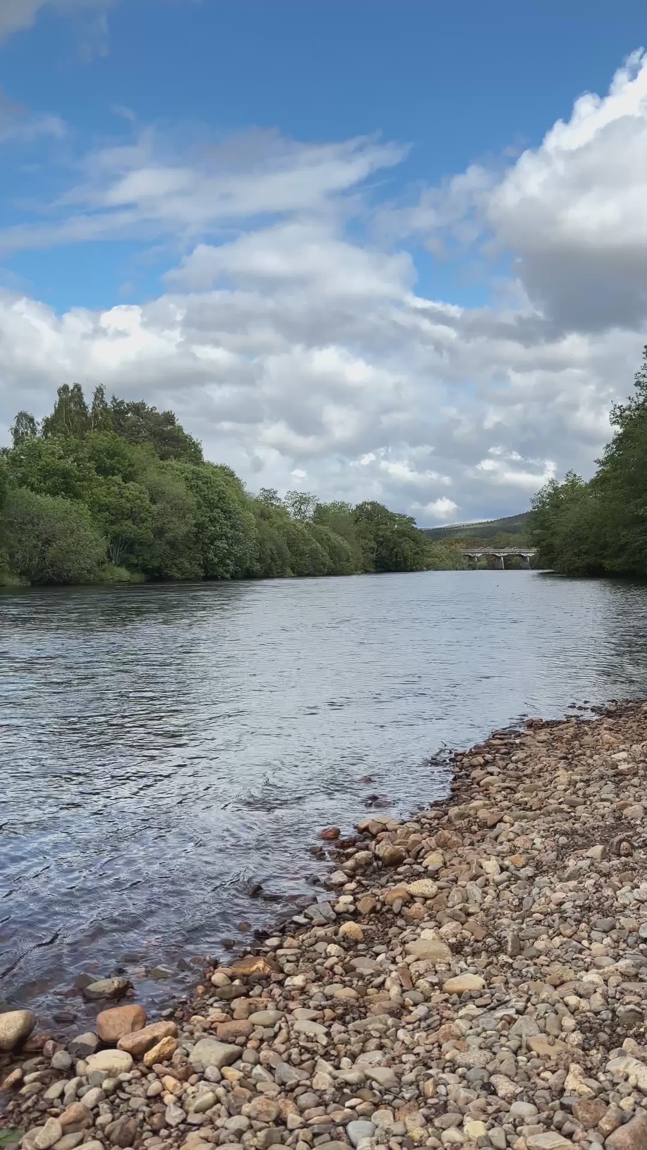 Scenic Riverside with Pebble Shoreline Free Stock Video Footage ...