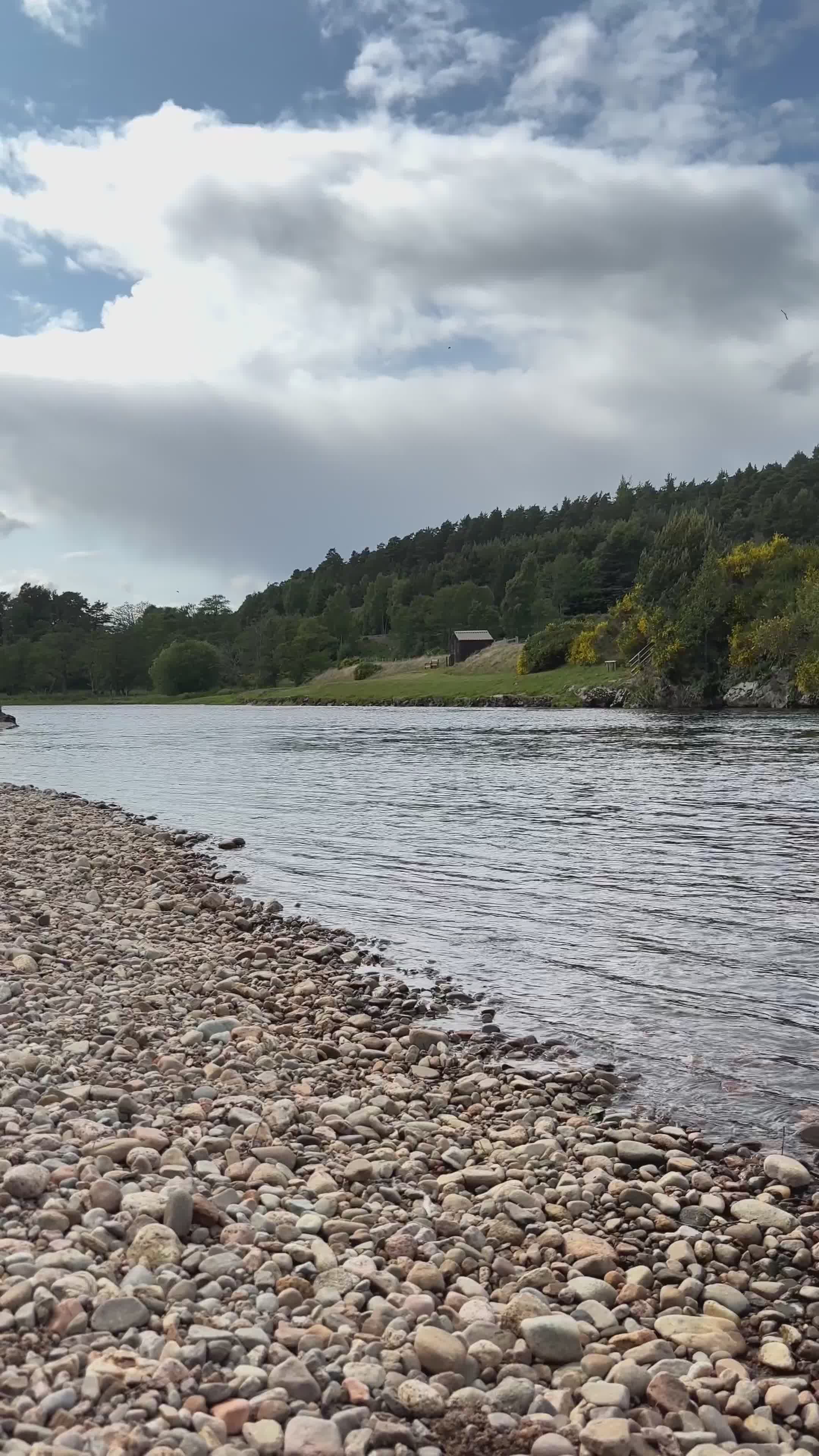 Scenic Riverside View with Pebble Shoreline Free Stock Video Footage ...