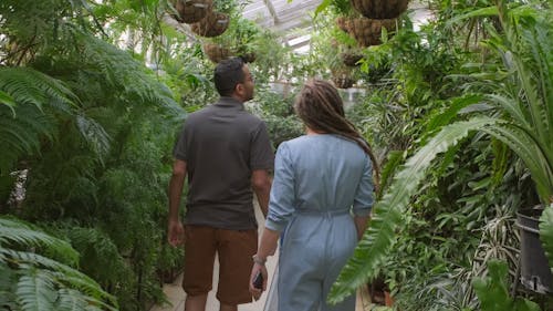 온실 안에 매달려있는 식물 종을 놀라게하는 커플