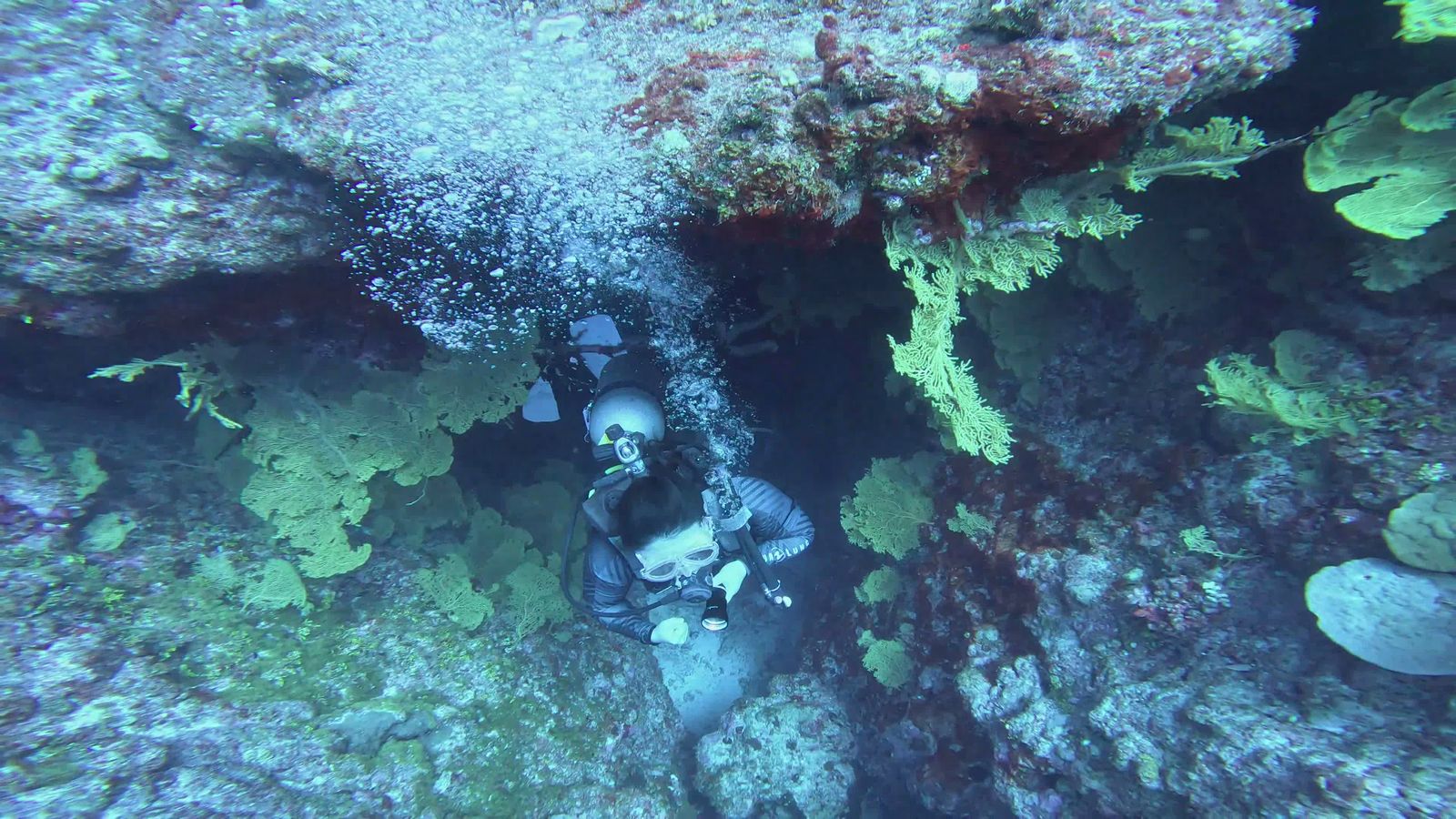 Scuba Diver Exploring Coral Reef Underwater Free Stock Video Footage ...