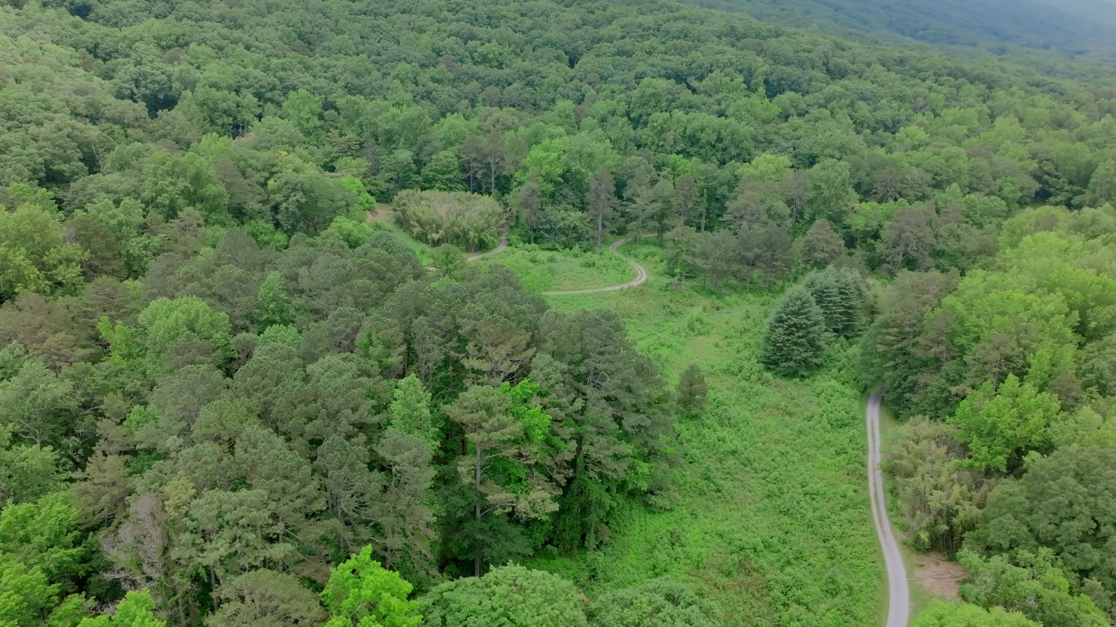 Aerial View of Lush Green Forest Landscape Free Stock Video Footage ...
