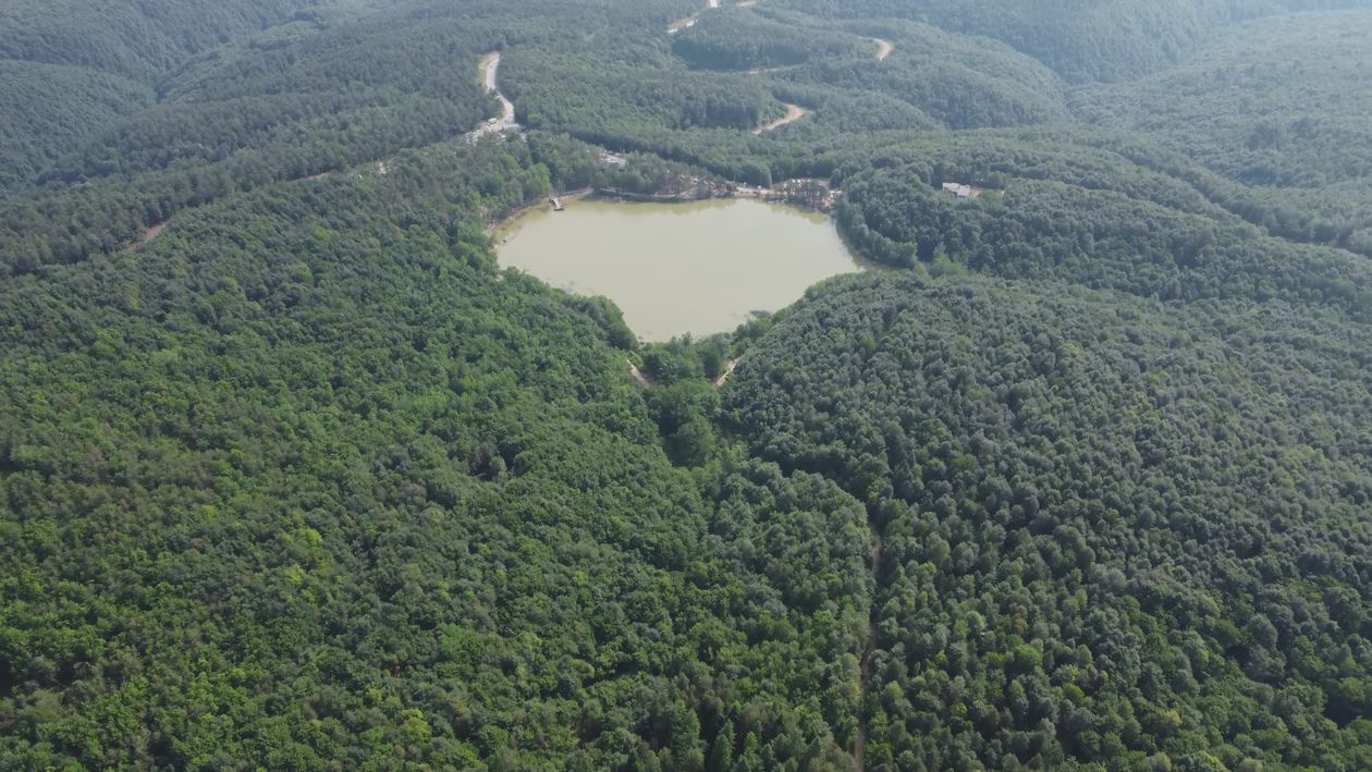 Aerial View of Serene Forest and Lake Free Stock Video Footage, Royalty ...