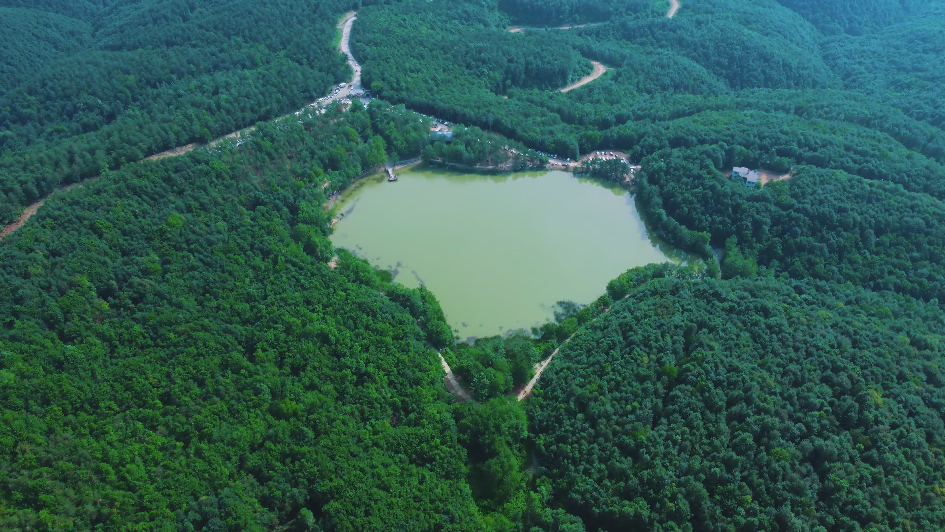 Scenic Aerial View of Lush Green Forest and Lake Free Stock Video ...