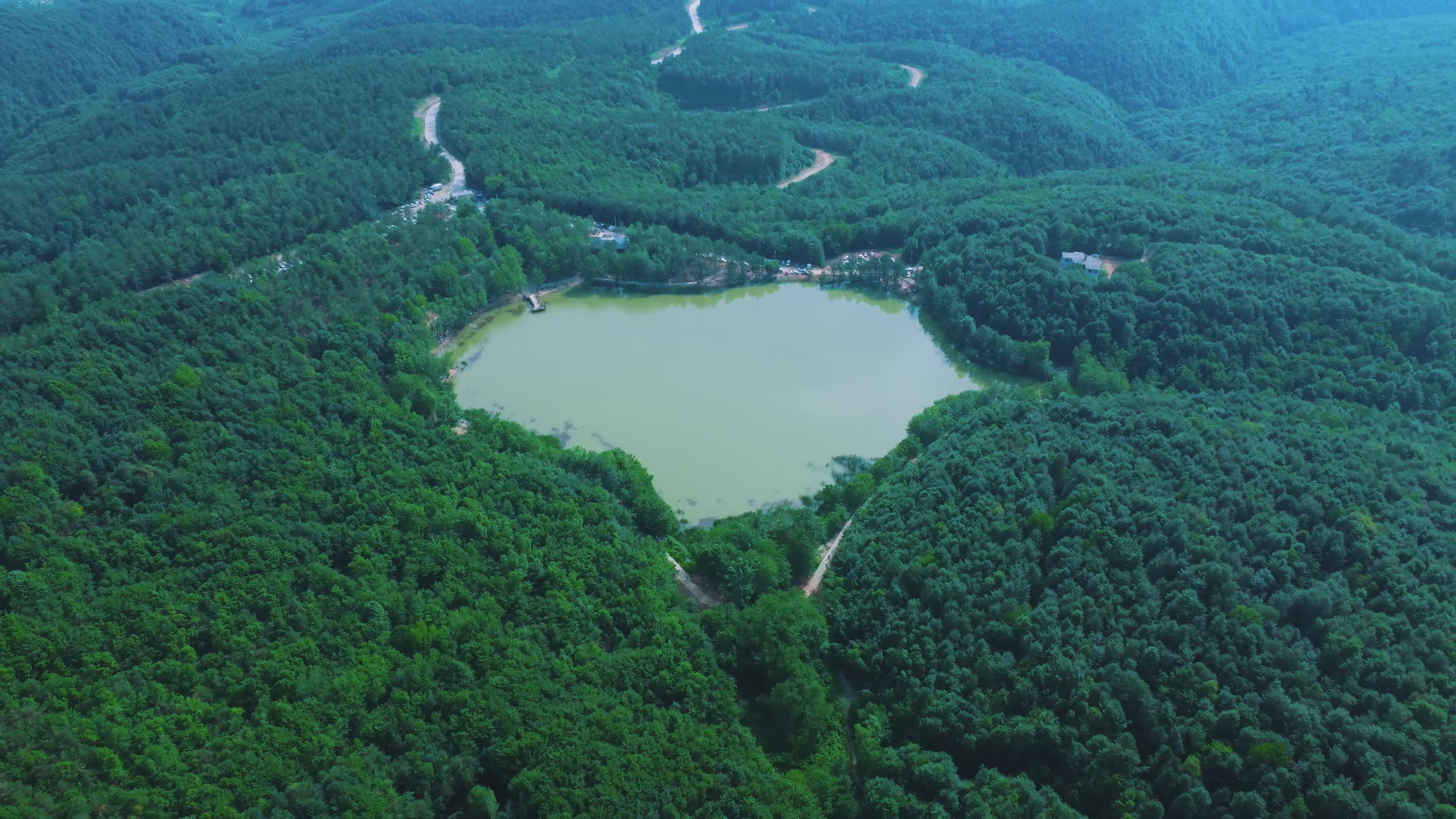Aerial View of Serene Forest Lake in Düzce Free Stock Video Footage ...