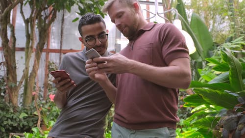 Двое мужчин смотрят на свои смартфоны