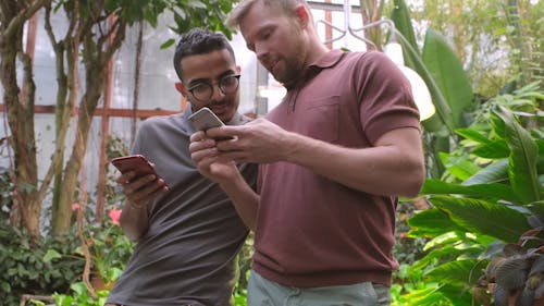 Two Men Looking At Their Smartphones