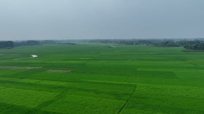 Bangladeshi+Bangla+Sexy+Bf Videos, Download The BEST Free 4k Stock