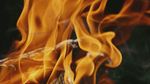 Fire Videos, Download The BEST Free 4k Stock Video Footage & Fire HD ...