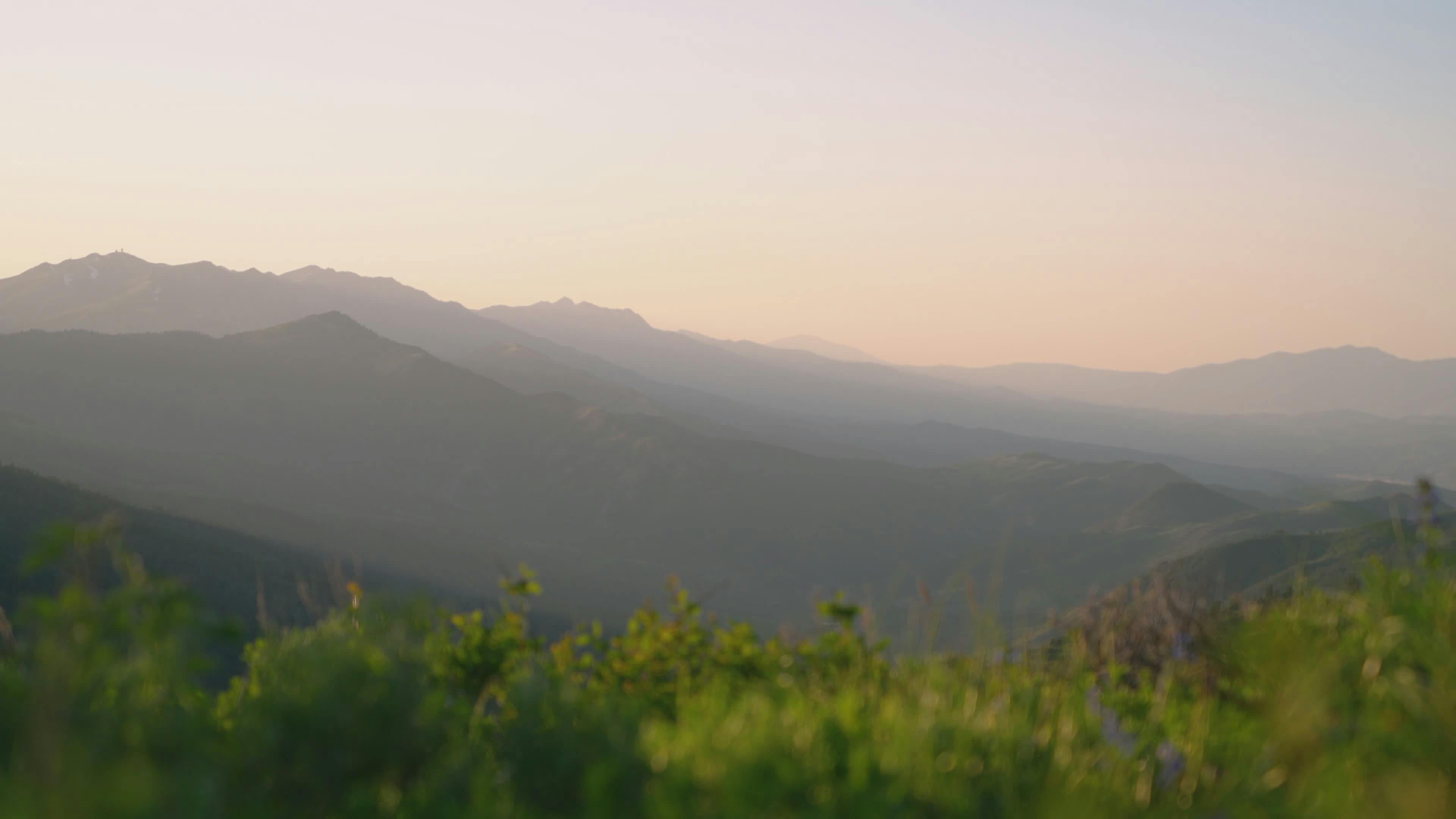 Video by Alex Moliski