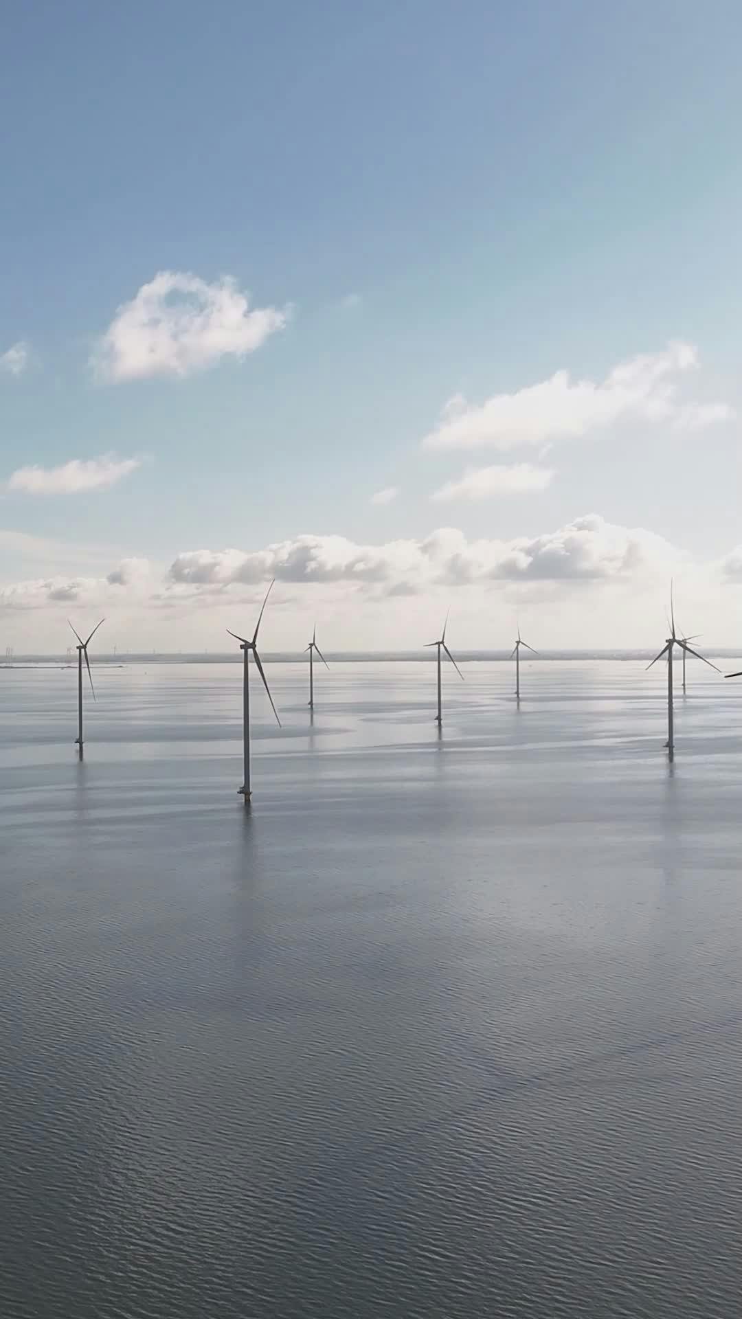 Video by Matthias Groeneveld