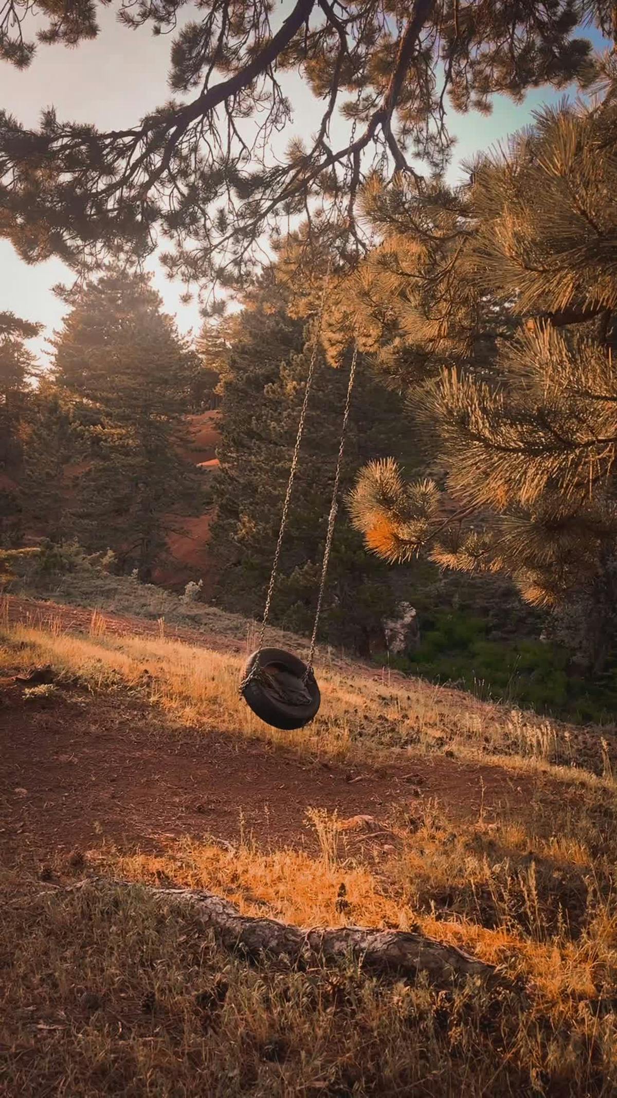 Fry99+Videos Videos, Download The BEST Free 4k Stock Video Footage