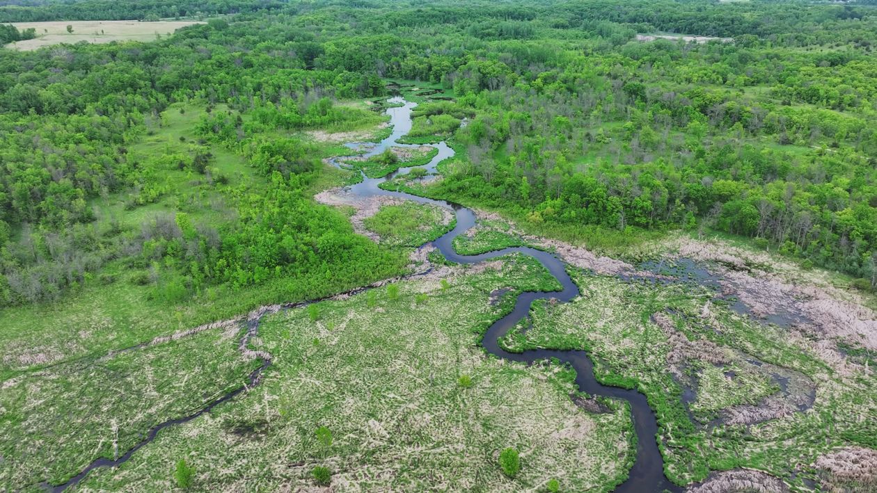Aerial View of Serene Green Forest and River Free Stock Video Footage ...