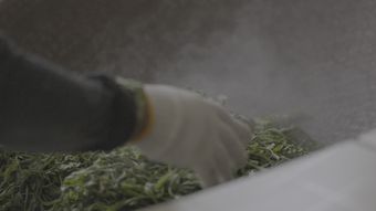 劣质茶视频素材