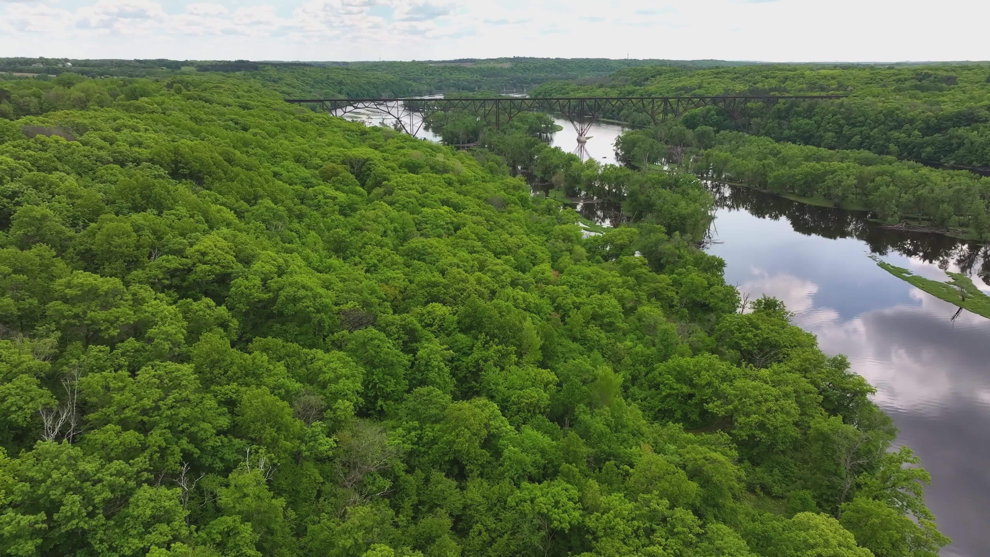 Lush Green Forest Aerial Over Serene River Free Stock Video Footage ...