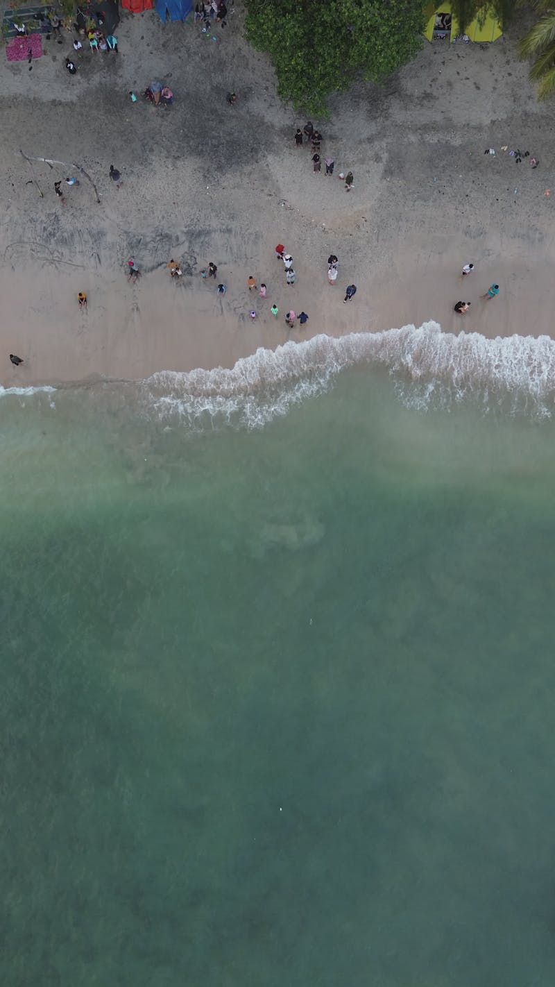 Girl+Peeing+On+Nude+Beach+Hd Videos, Download The BEST Free 4k Stock